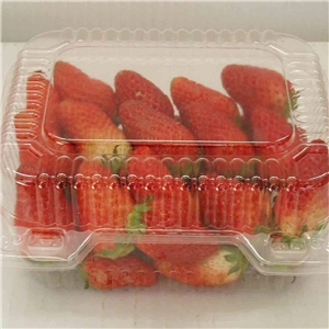 食品吸塑包裝應(ying)用